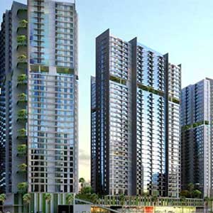 Broco Mortar - Puri Orchard